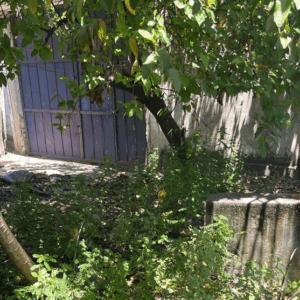 A entrada do galpão era perigosa e sem estrutura. Havia acúmulo de lixo e mato, e as paredes inacabadas dificultavam a locomoção.