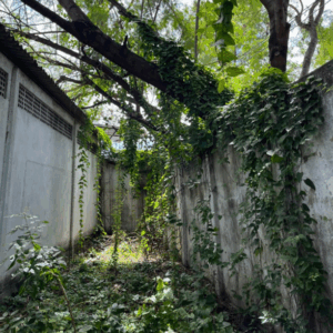 A área se encontrava em condições extremamente precárias, com acúmulo de lixo e mato. O crescimento desordenado de árvores causava rachaduras no solo e comprometia a estabilidade do muro.